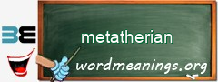 WordMeaning blackboard for metatherian